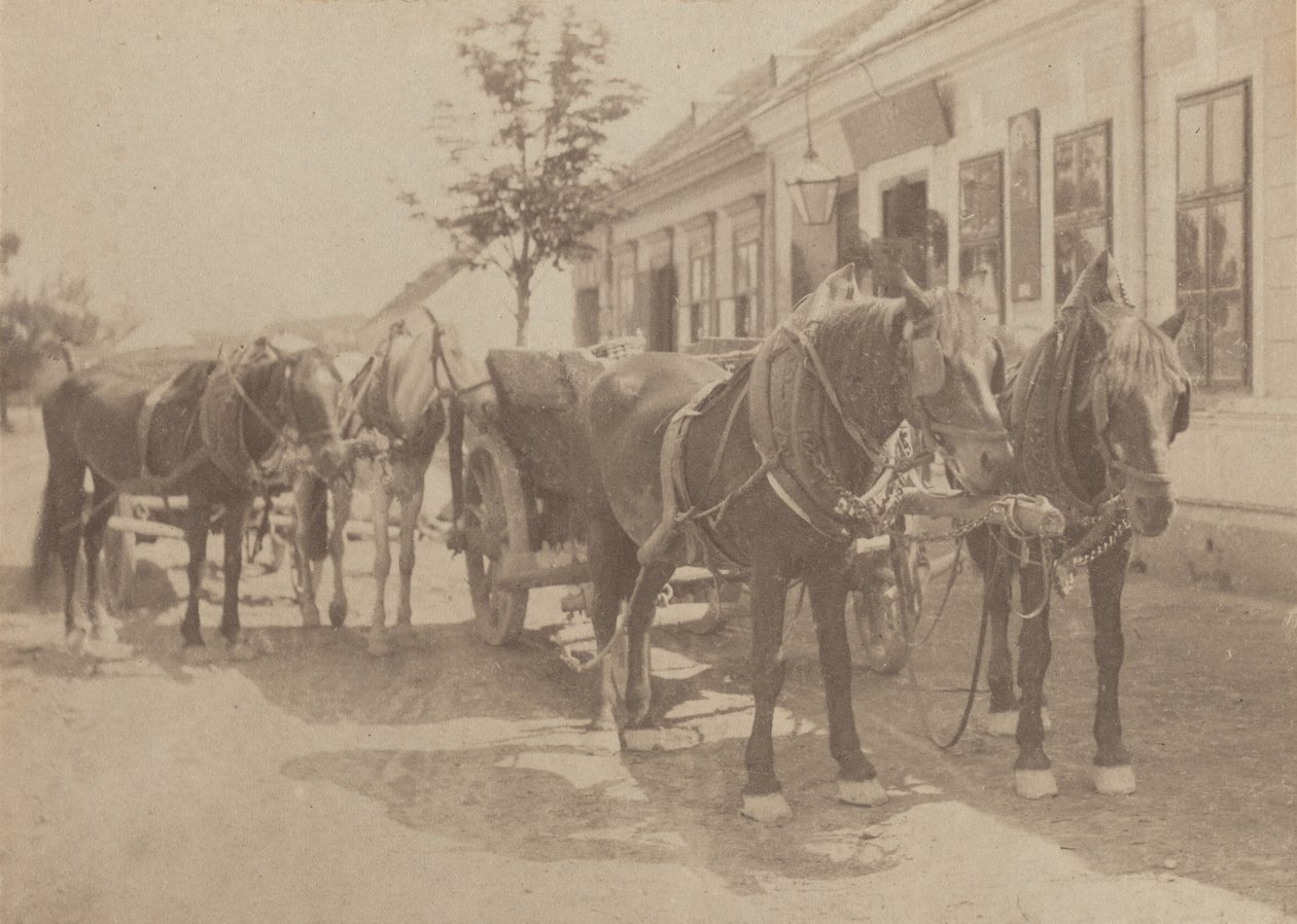 Foran kroen af Alfred Stieglitz