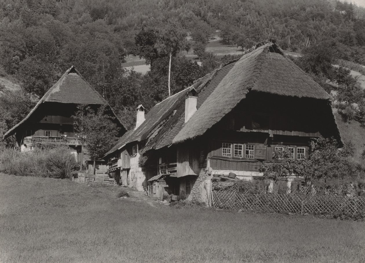 Black Forest House af Alfred Stieglitz