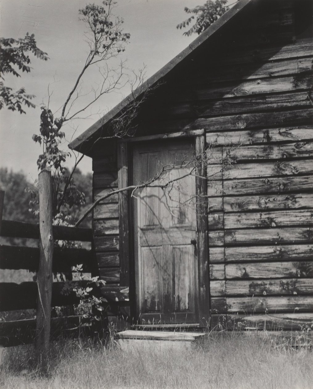 Dør til hytte, Lake George af Alfred Stieglitz