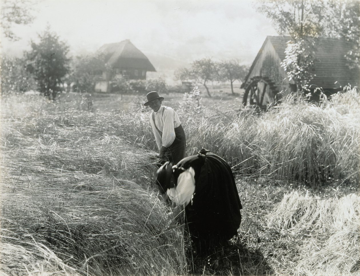 Tidlig morgen af Alfred Stieglitz