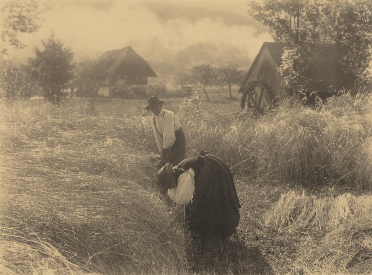 Tidlig morgen af Alfred Stieglitz