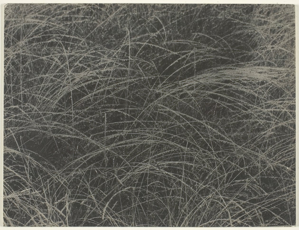 Tilsvarende, 1927. af Alfred Stieglitz