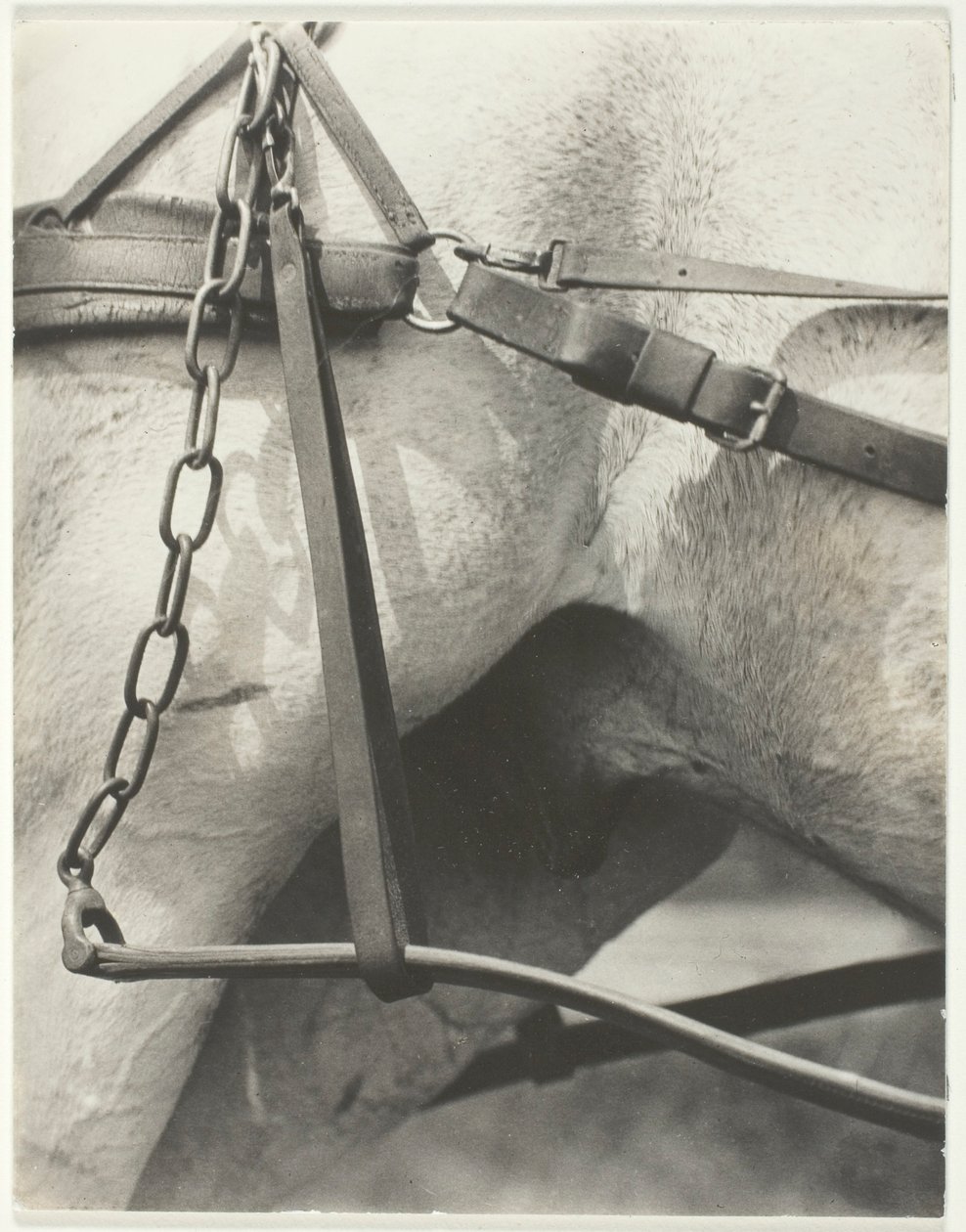 Tilsvarende, Spirituelt Amerika af Alfred Stieglitz