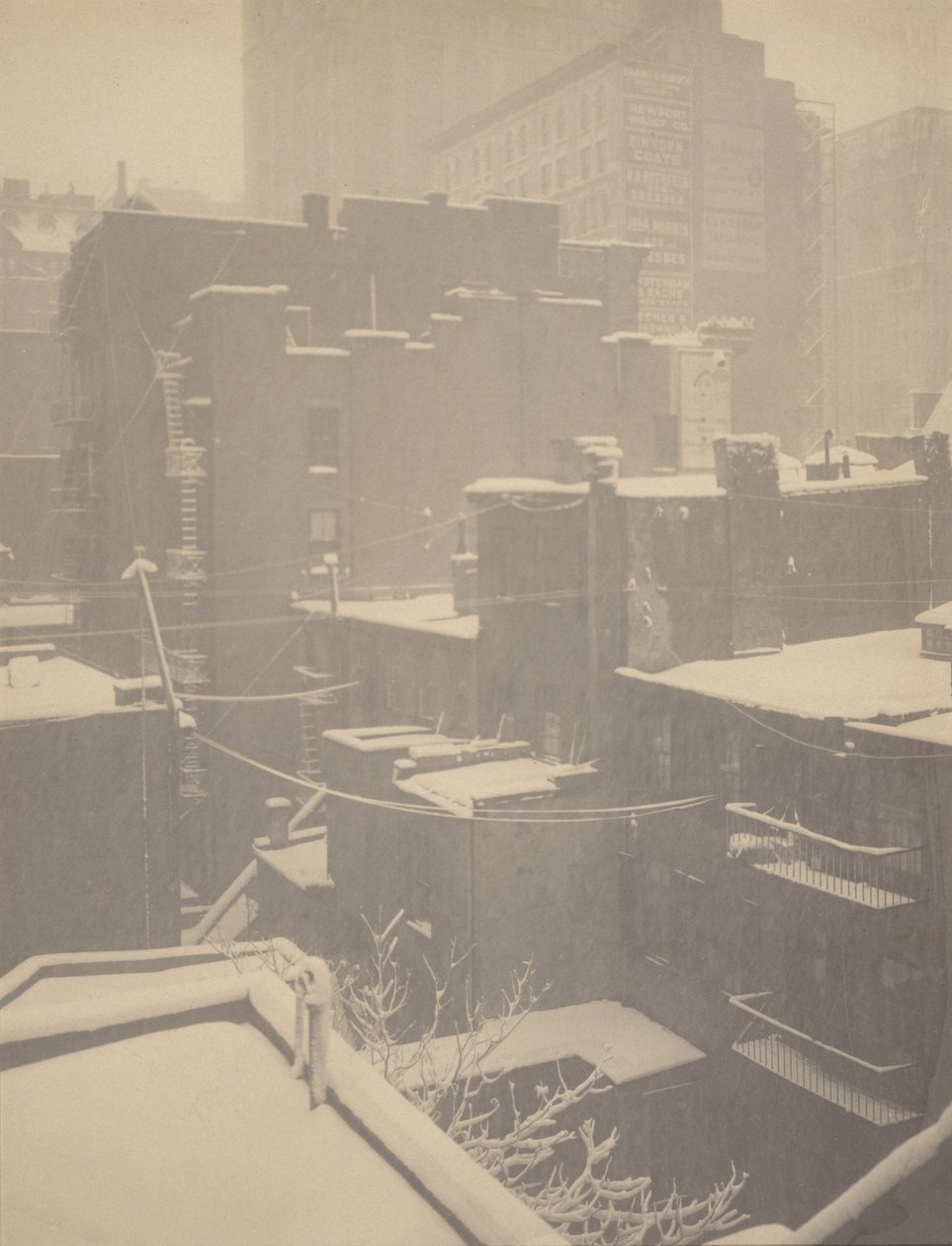 Fra bagvinduet - 291 af Alfred Stieglitz
