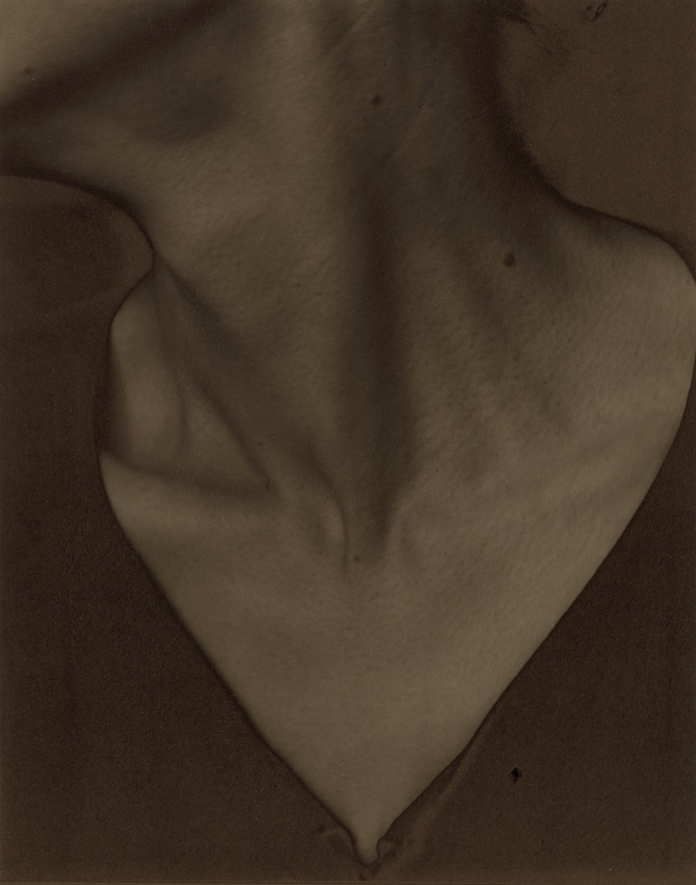 Georgia O’Keeffe – Hals af Alfred Stieglitz