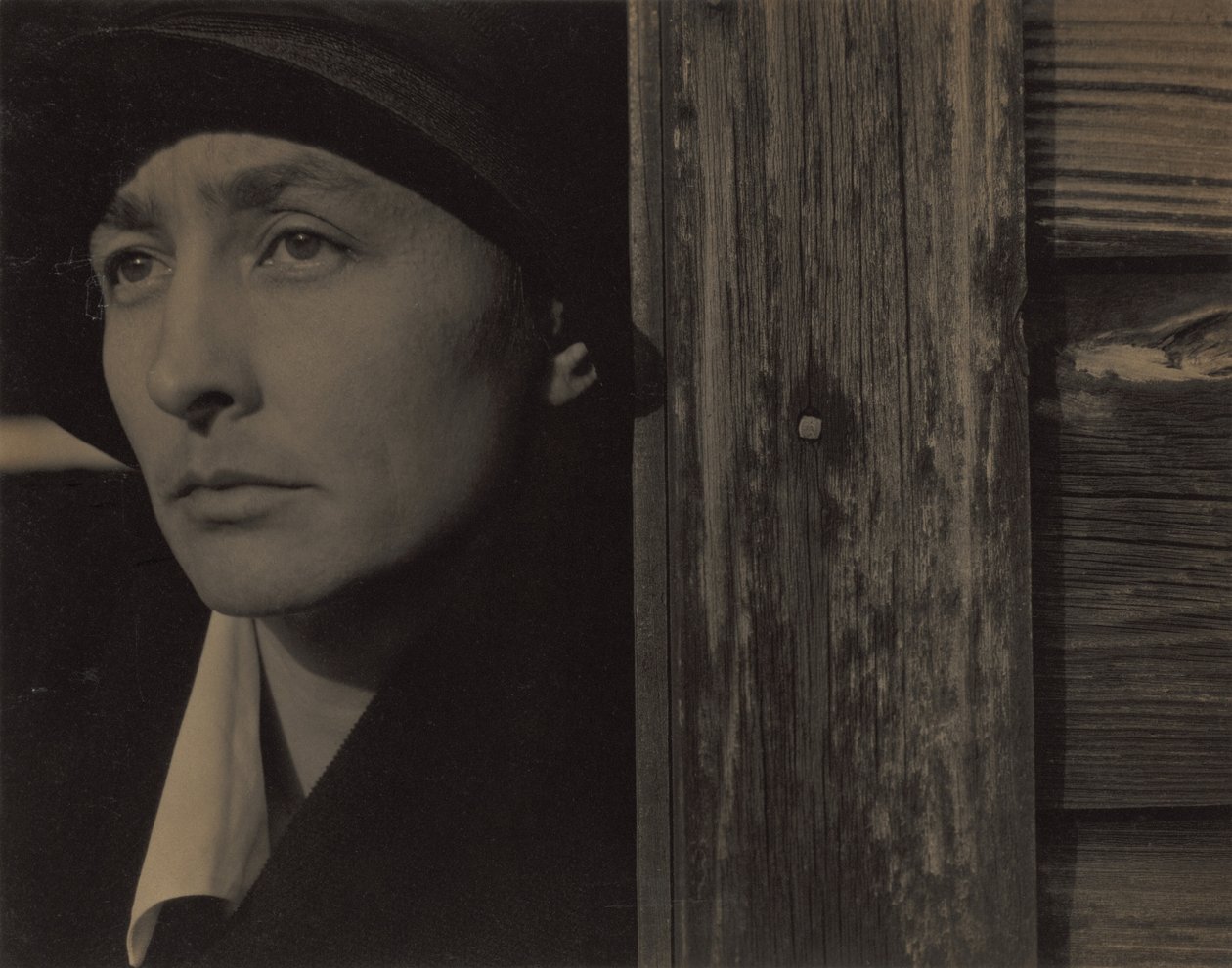Georgia O’Keeffe af Alfred Stieglitz