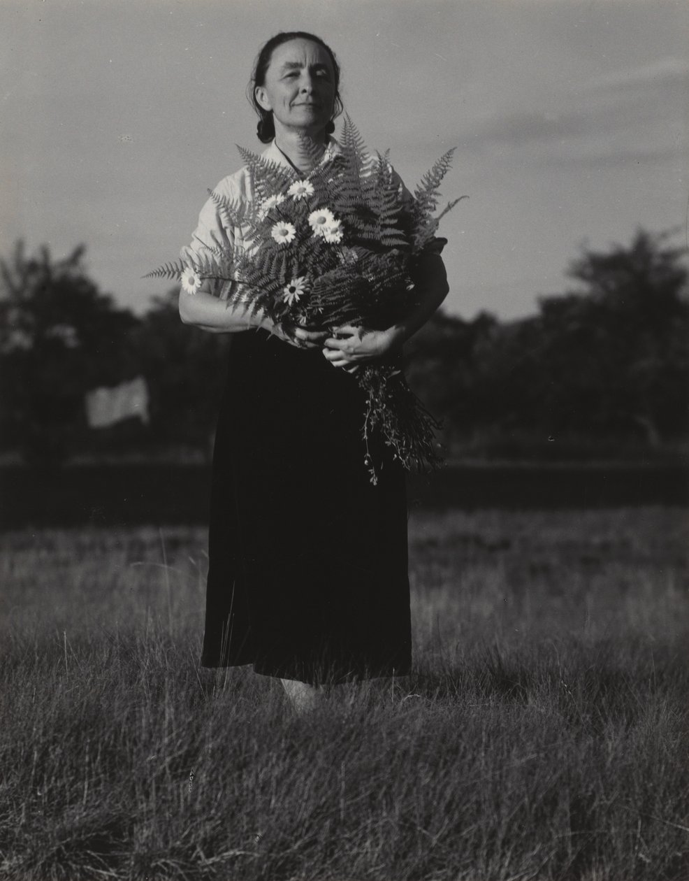 Georgia O’Keeffe af Alfred Stieglitz
