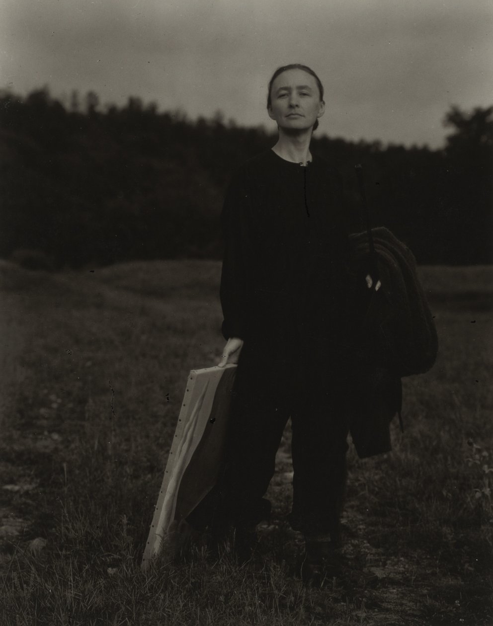 Georgia O’Keeffe af Alfred Stieglitz