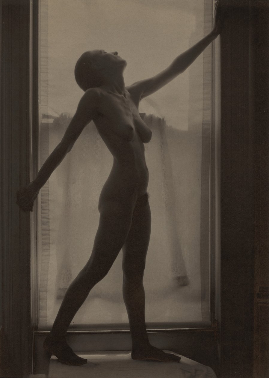 Georgia O’Keeffe af Alfred Stieglitz