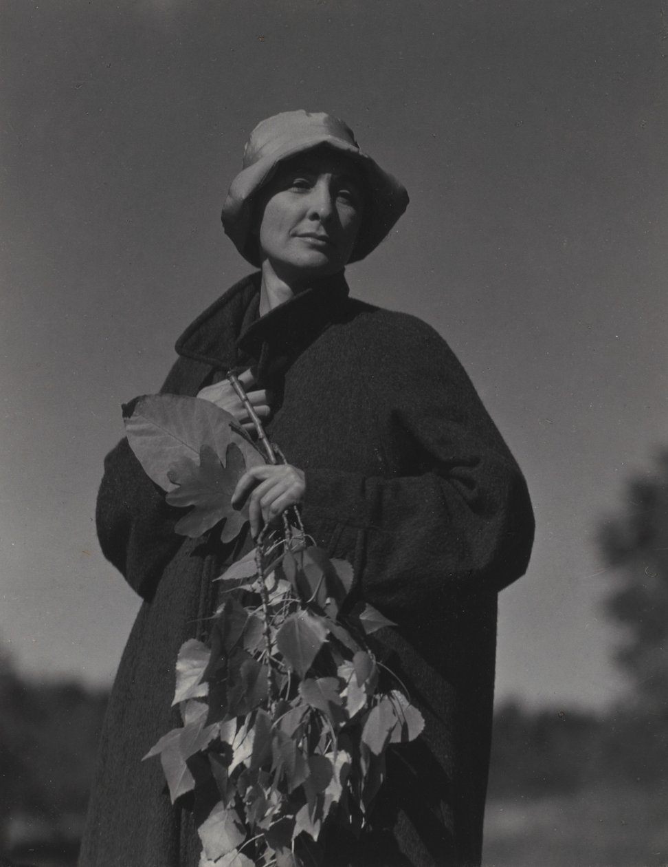 Georgia O’Keeffe af Alfred Stieglitz