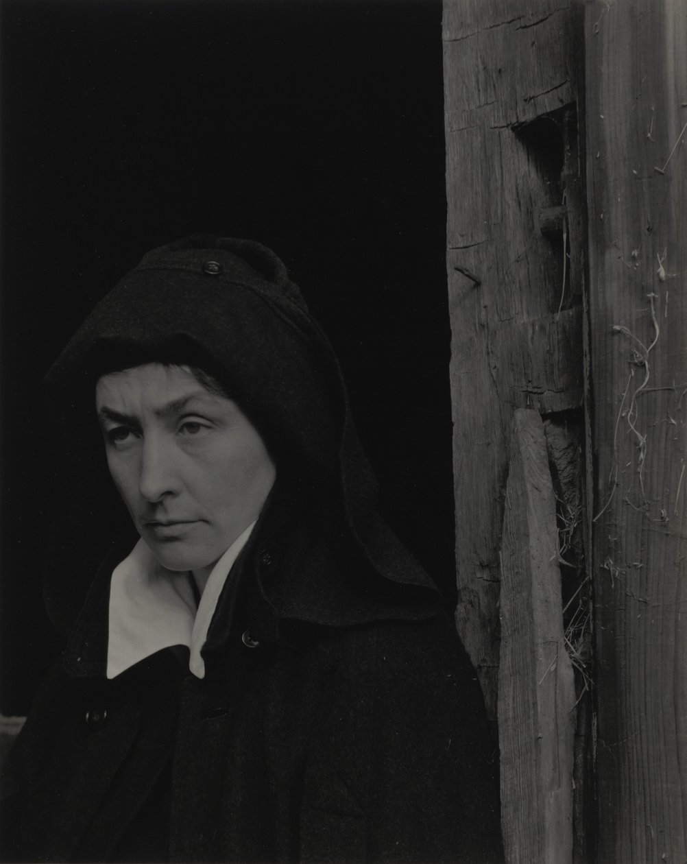 Georgia O’Keeffe af Alfred Stieglitz
