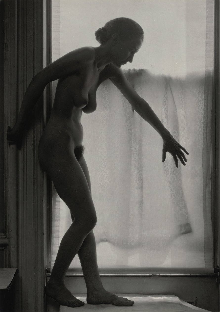 Georgia O’Keeffe af Alfred Stieglitz