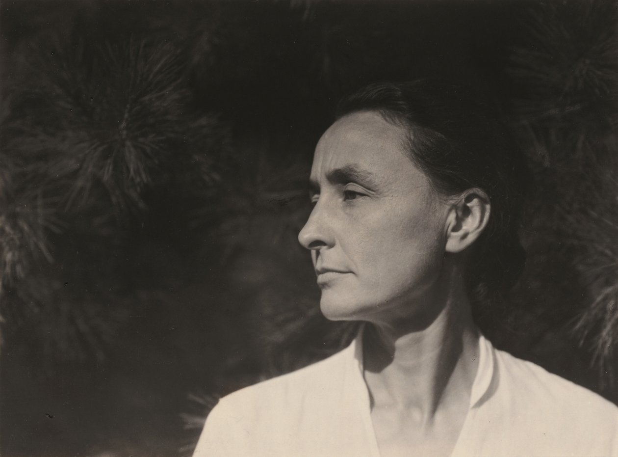 Georgia O’Keeffe af Alfred Stieglitz