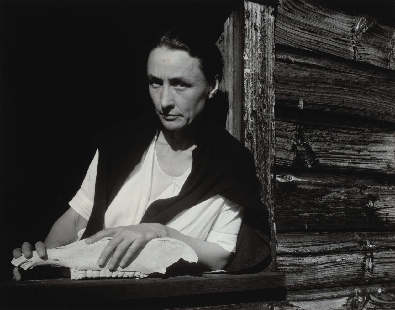 Georgia O’Keeffe af Alfred Stieglitz