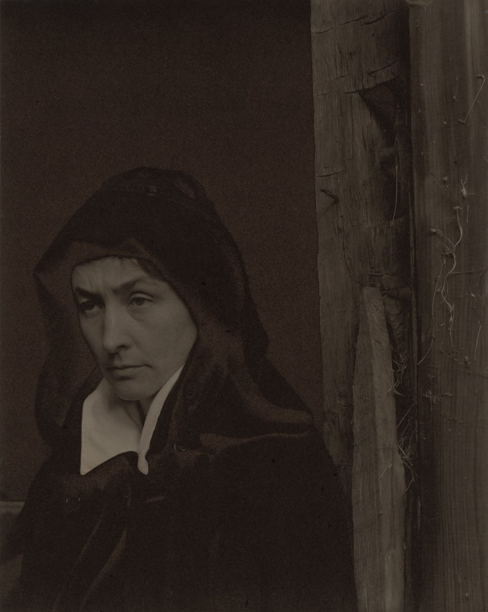 Georgia O’Keeffe af Alfred Stieglitz