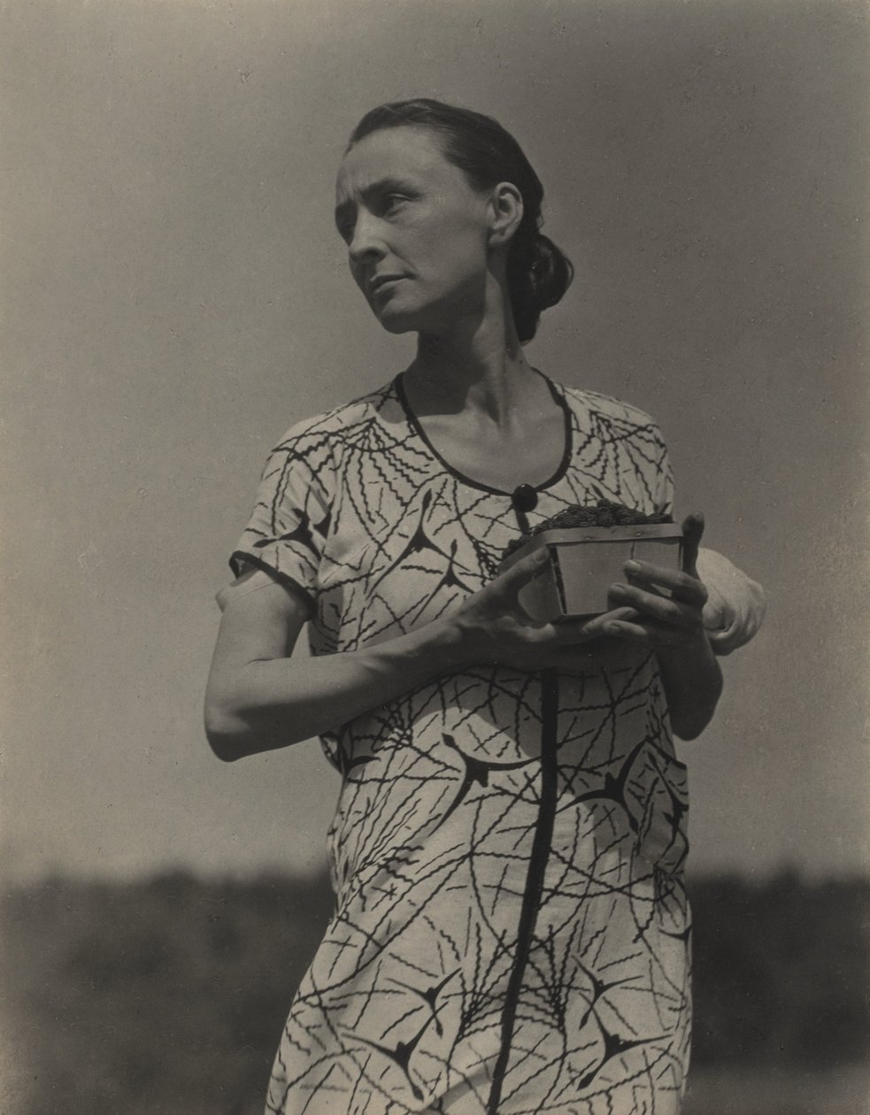 Georgia O’Keeffe af Alfred Stieglitz