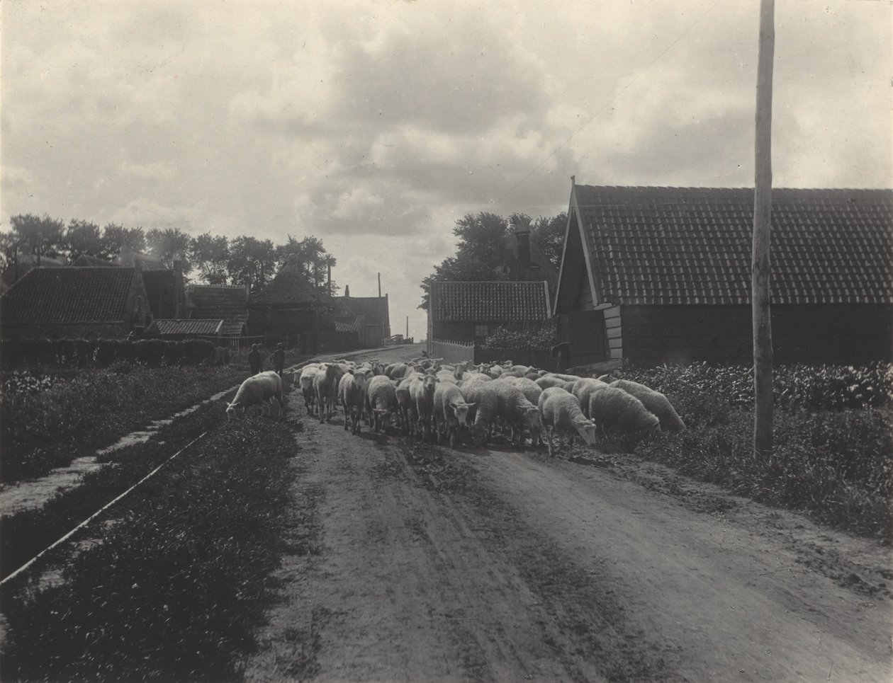 På vej til græsningen af Alfred Stieglitz