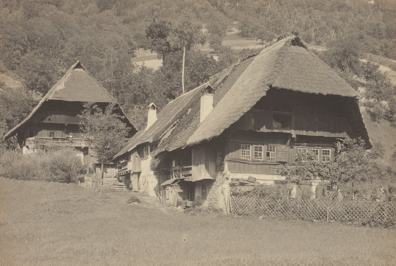 Gutach-husene af Alfred Stieglitz