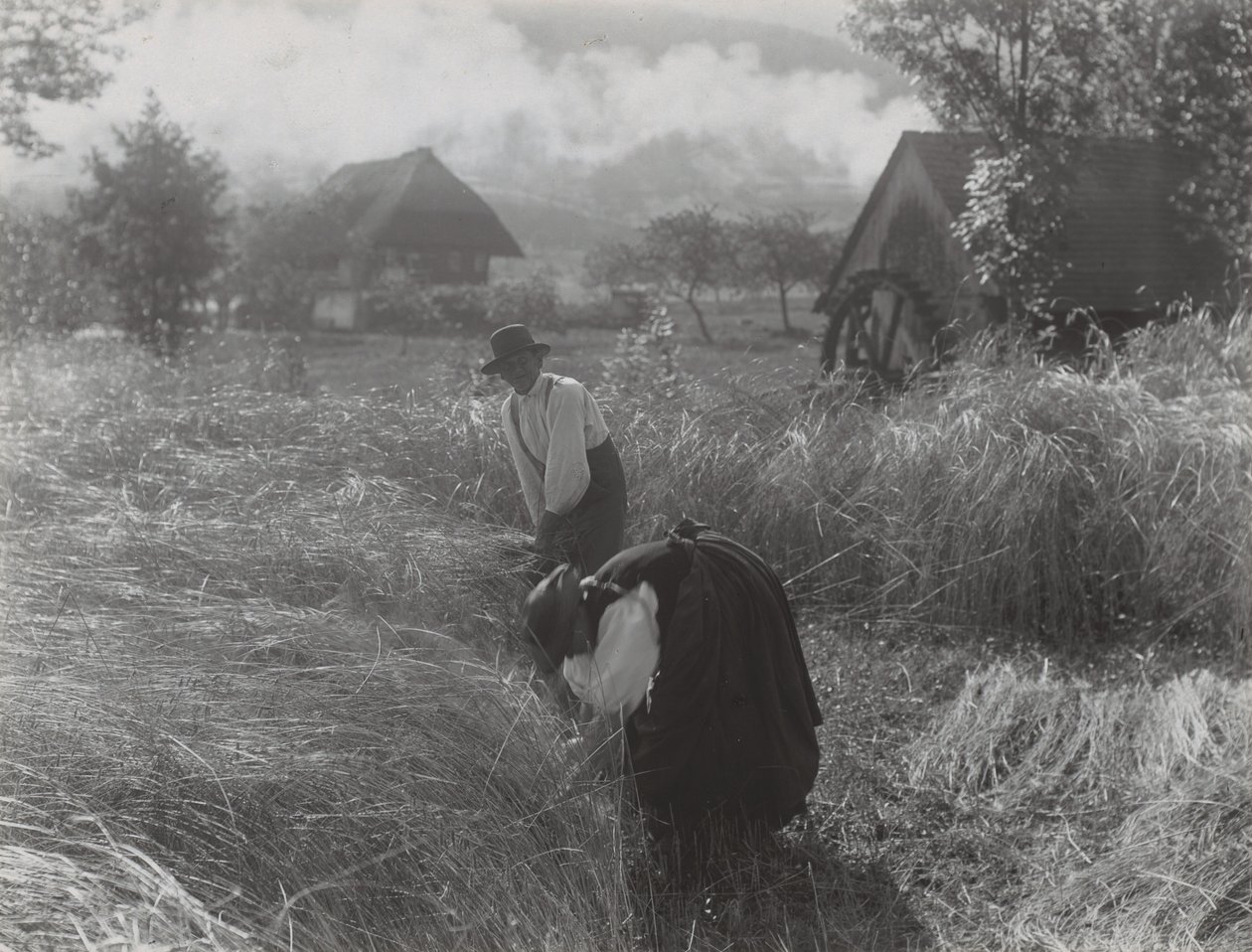 Høst, Schwarzwald af Alfred Stieglitz