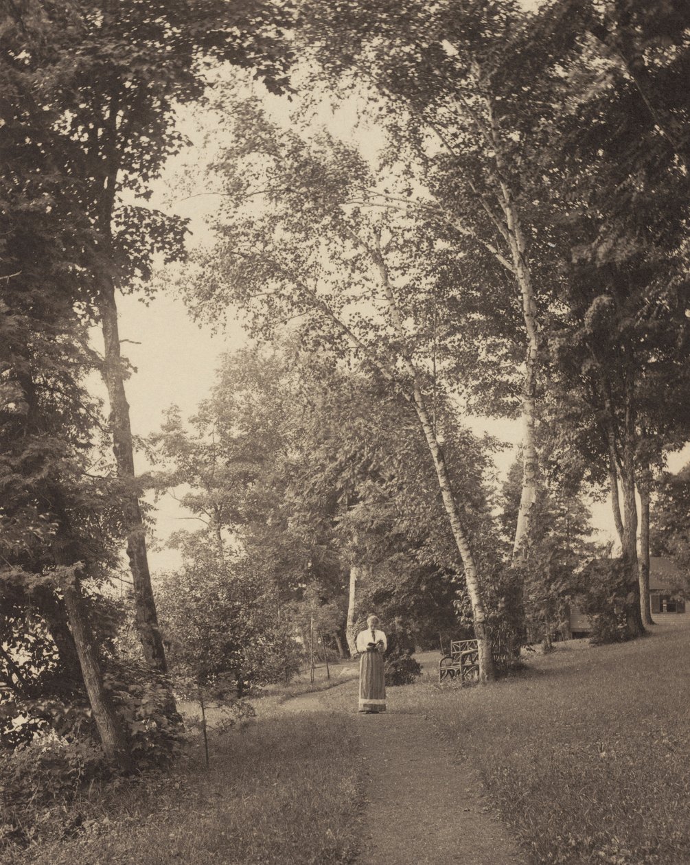 Hedwigs sti, Oaklawn, Lake George af Alfred Stieglitz