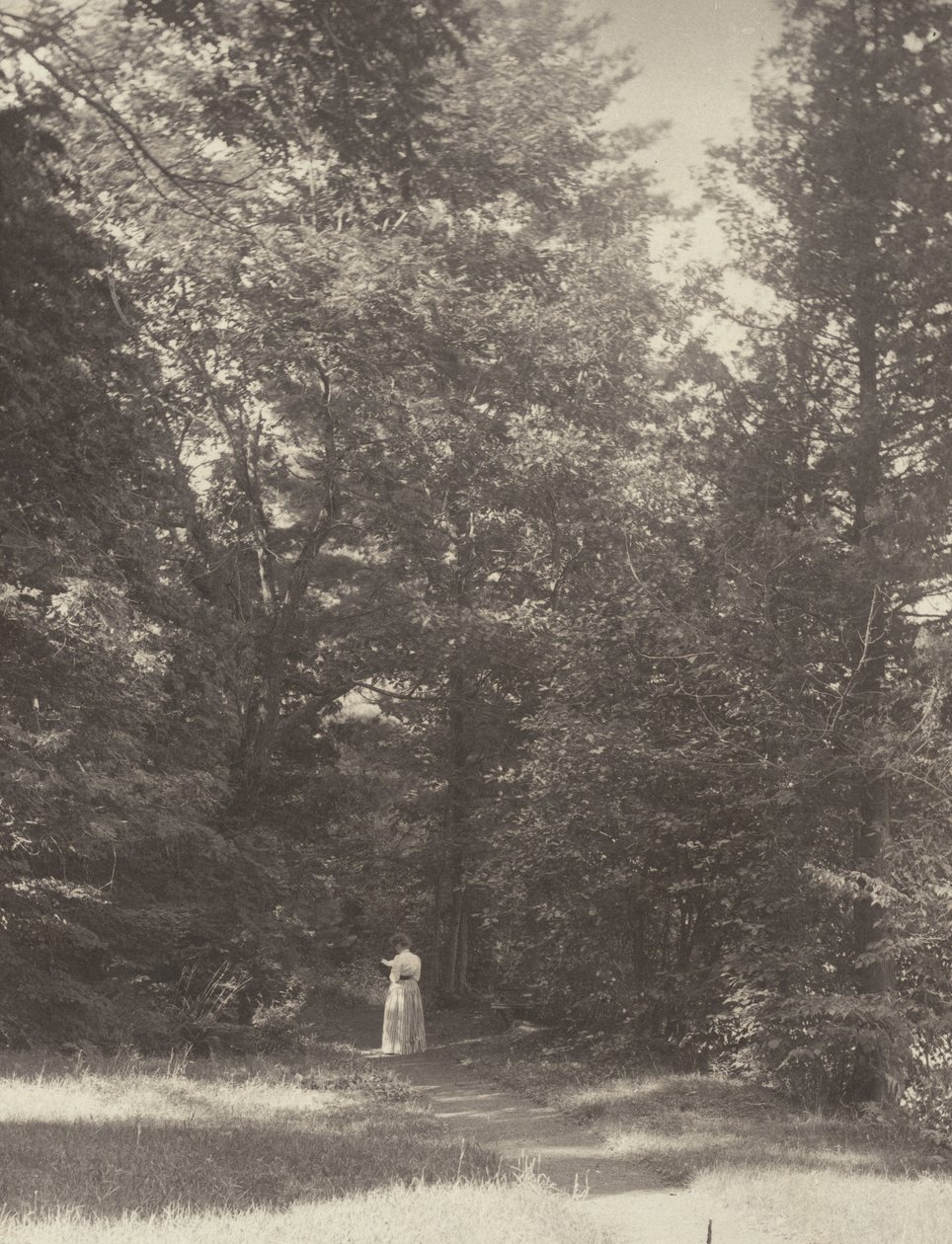 "Hedwigsweg" II, Lake George af Alfred Stieglitz