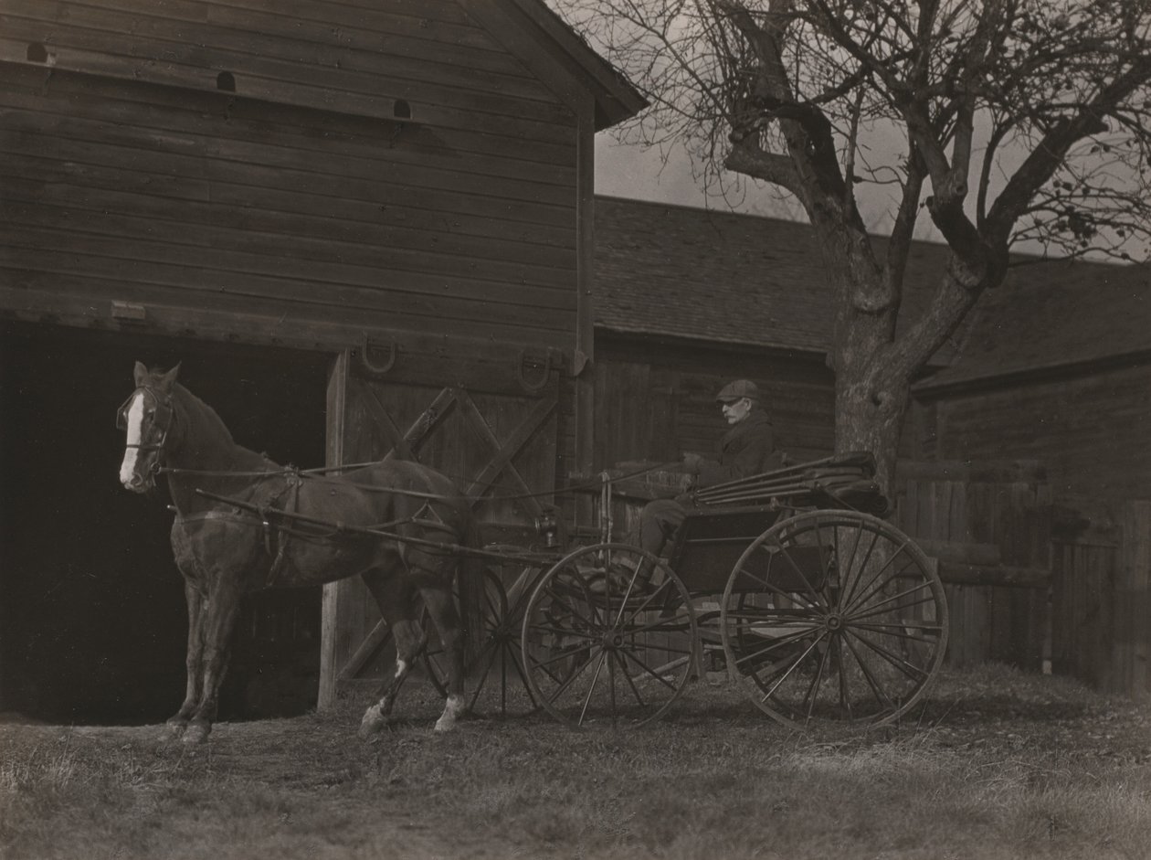 Hest og vogn af Alfred Stieglitz