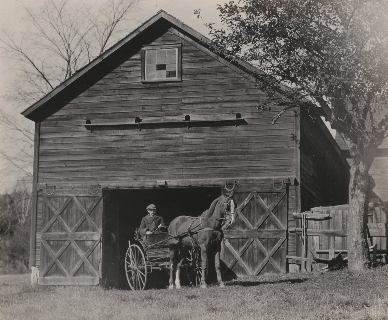 Hest og vogn af Alfred Stieglitz