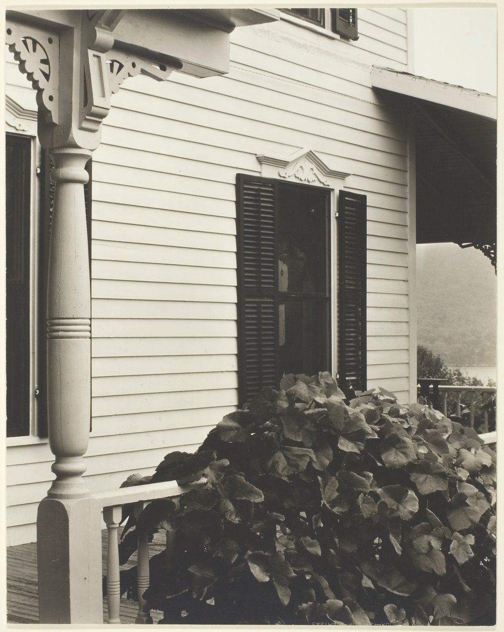 Hus og drueblade, 1934. af Alfred Stieglitz