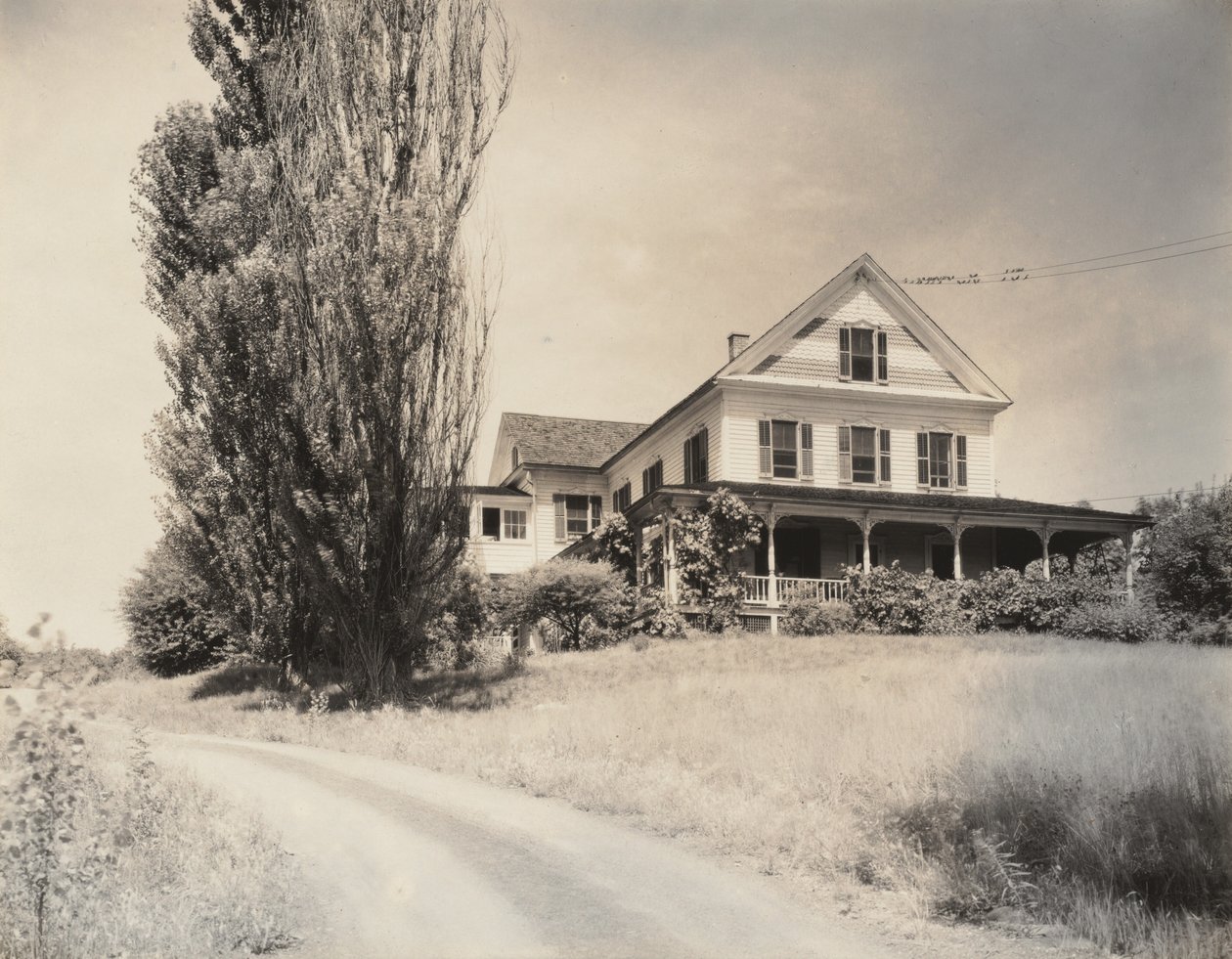 House og Poplars, Lake George af Alfred Stieglitz