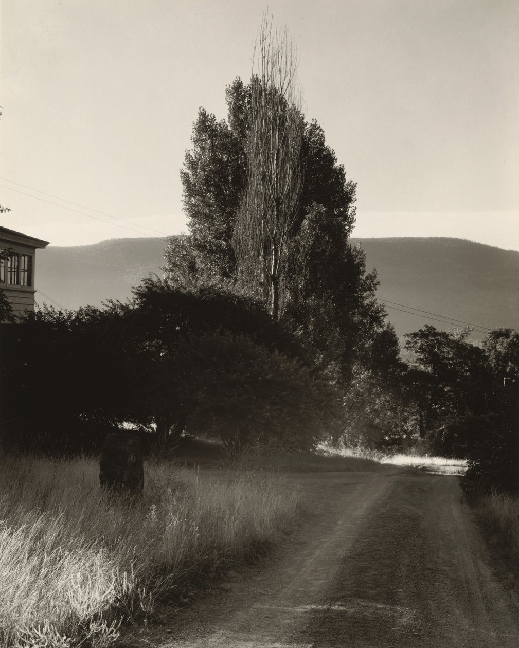 Hus og popler, Lake George af Alfred Stieglitz