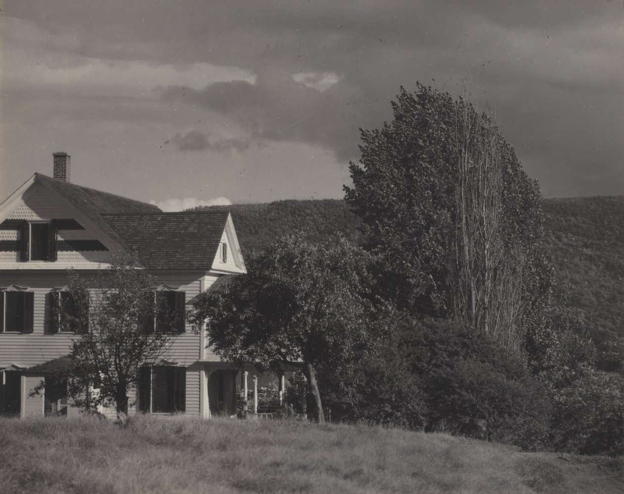 Hus og popler, Lake George af Alfred Stieglitz