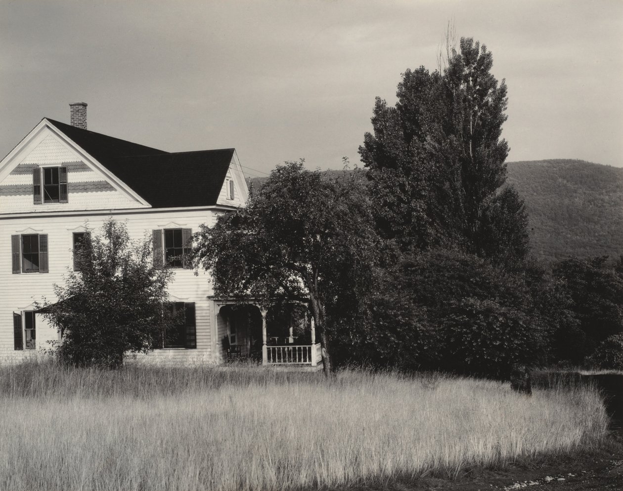 Hus og træer, Lake George af Alfred Stieglitz