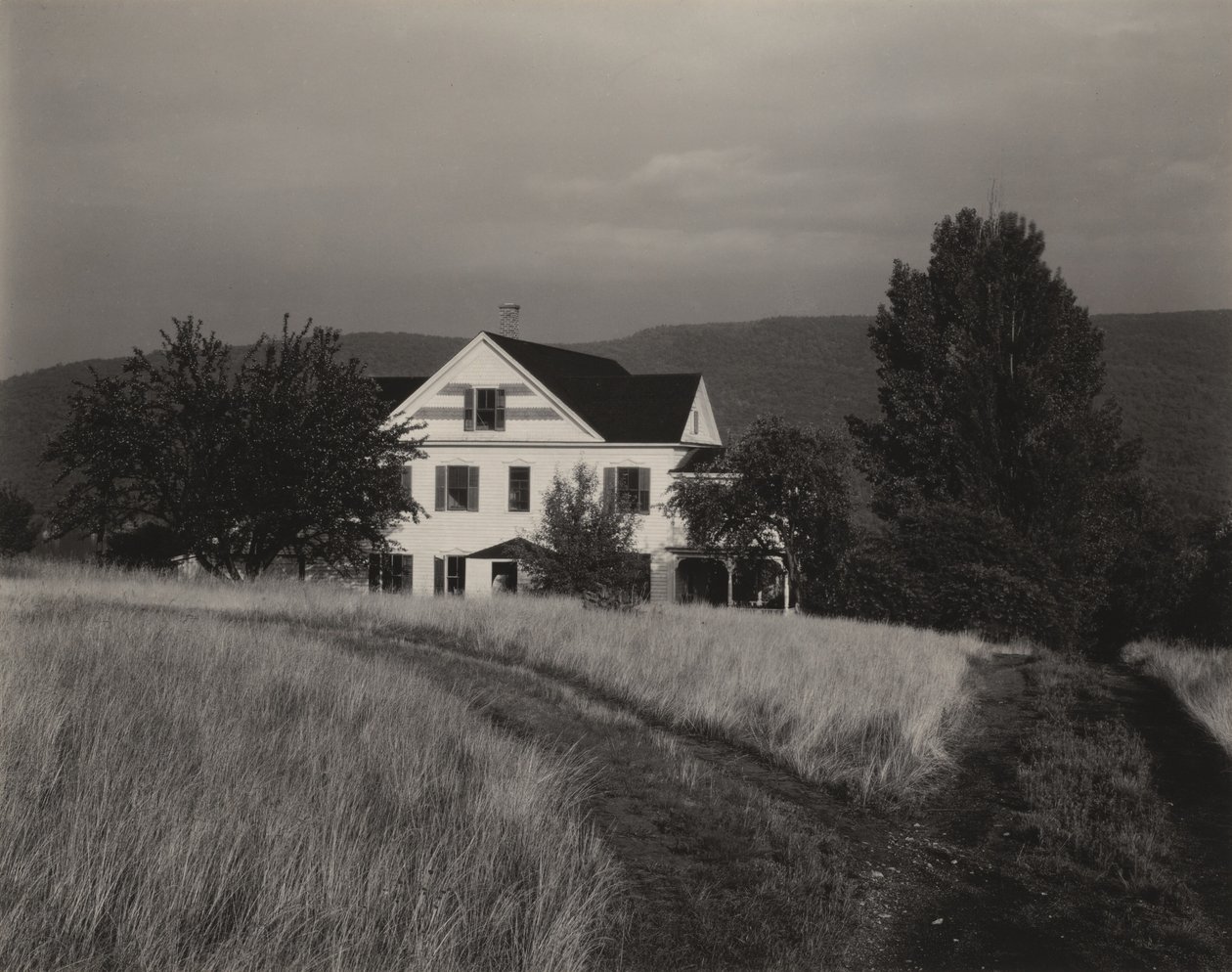 Hus og træer, Lake George af Alfred Stieglitz