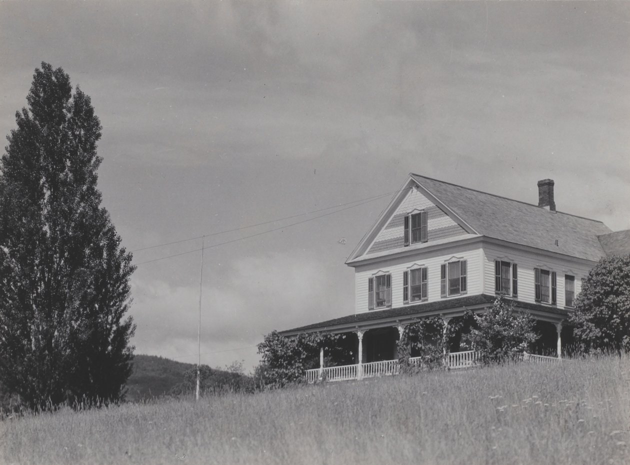 Hus på bakken, Lake George af Alfred Stieglitz