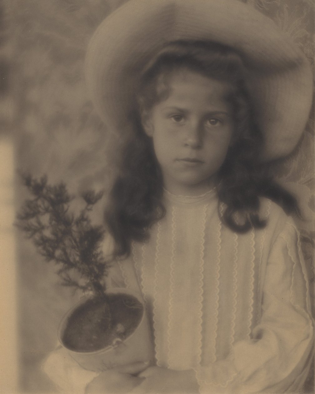 Kitty – Blomsterpotte af Alfred Stieglitz