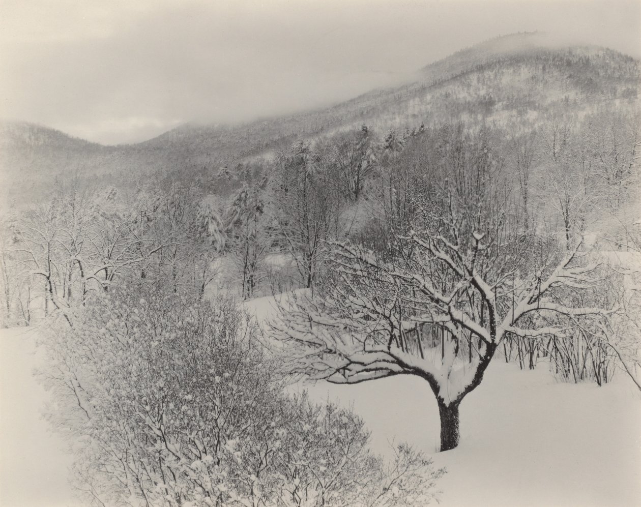 Lake George af Alfred Stieglitz