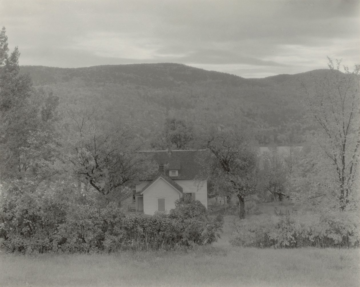 Lake George af Alfred Stieglitz
