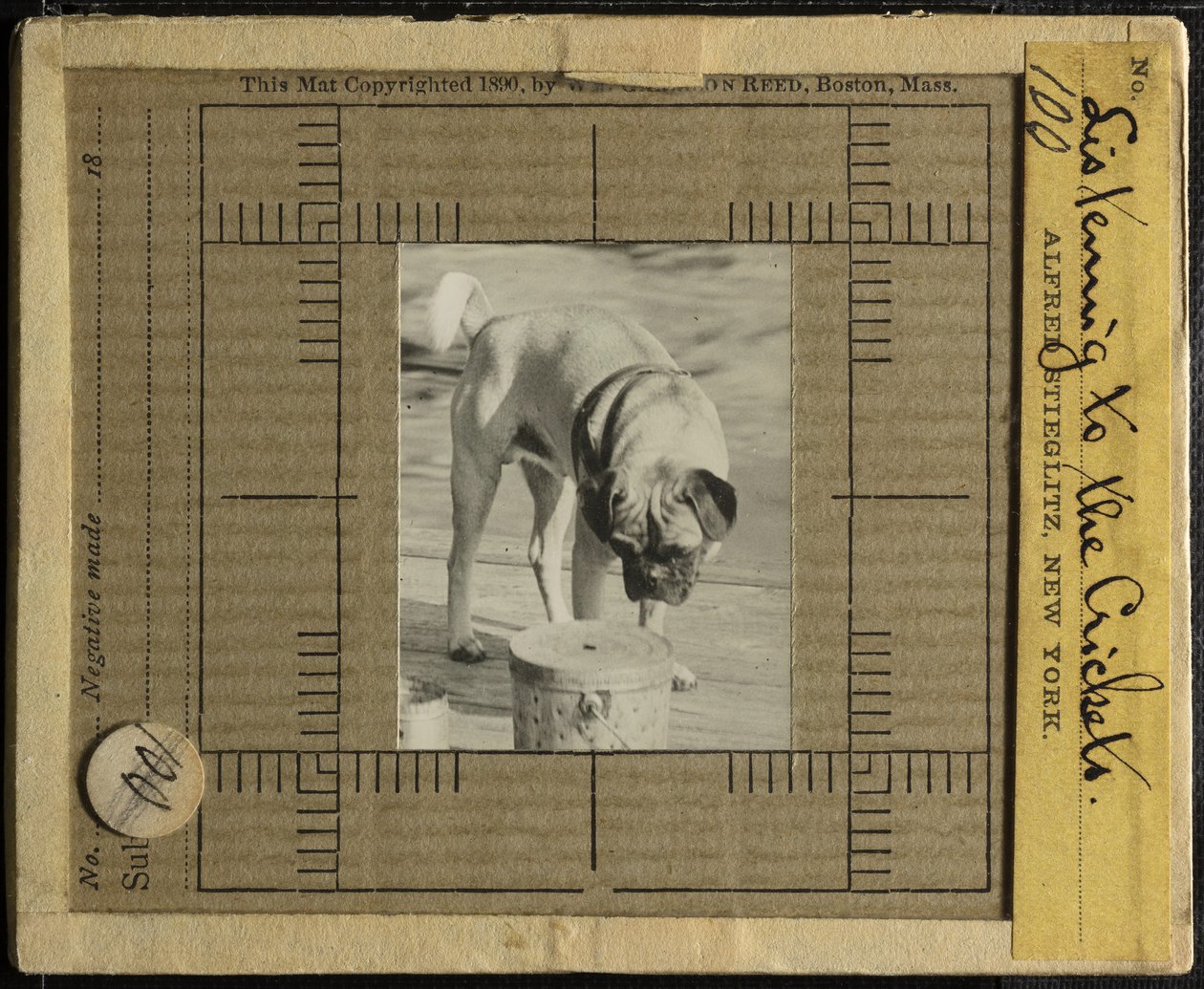 At lytte til Crickets, ca. 1900. af Alfred Stieglitz