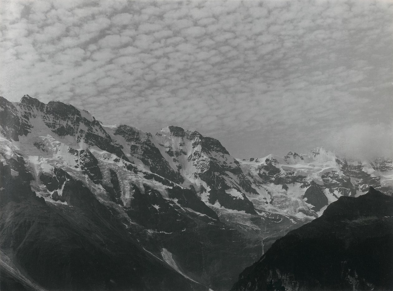 Mid sne og is af Alfred Stieglitz