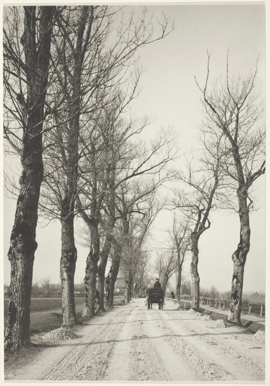 november dage af Alfred Stieglitz