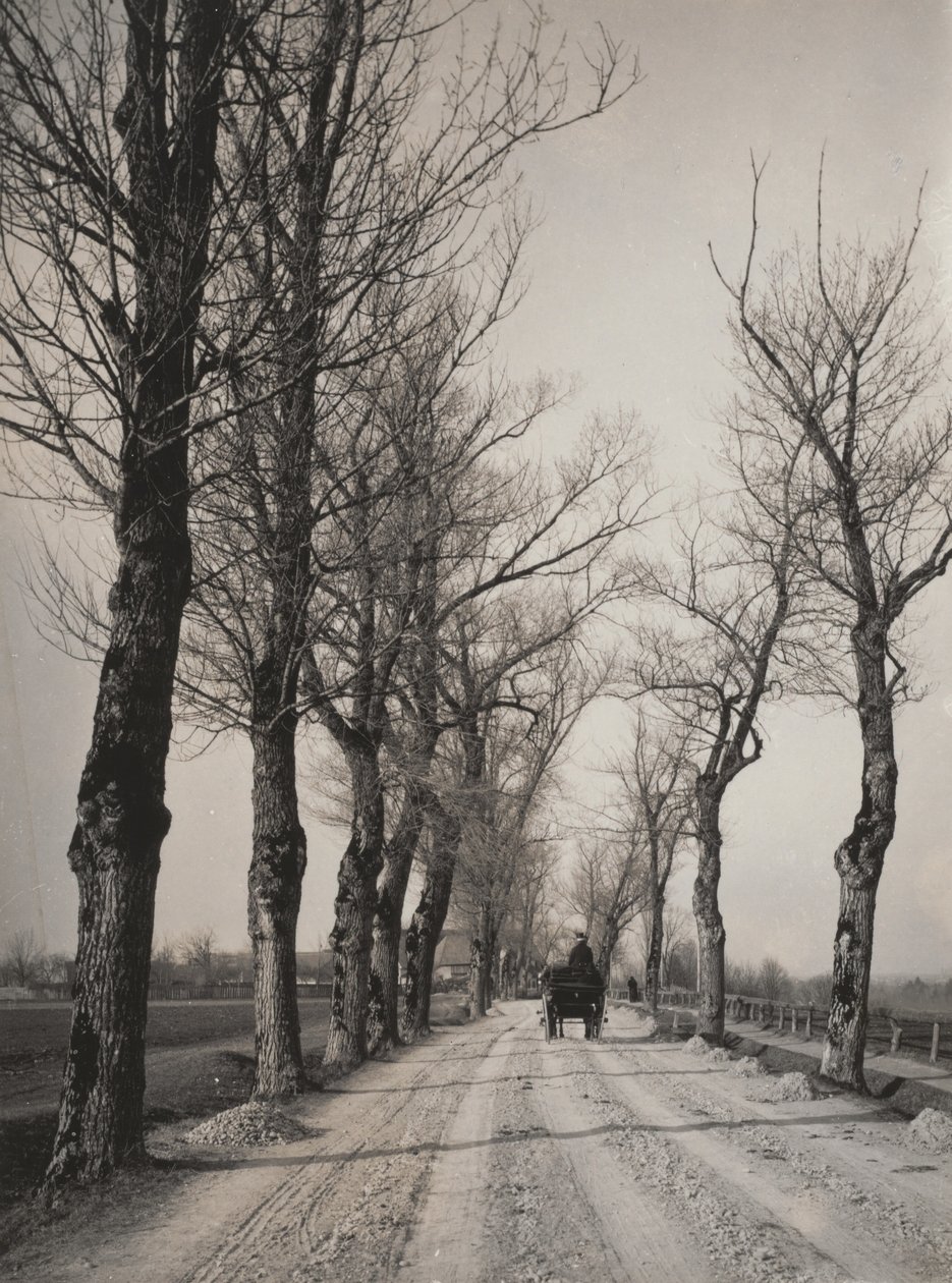 Novemberdage af Alfred Stieglitz