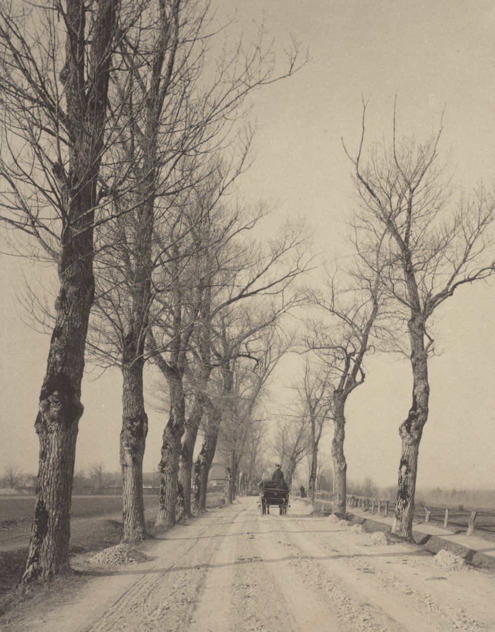 Novemberdage af Alfred Stieglitz