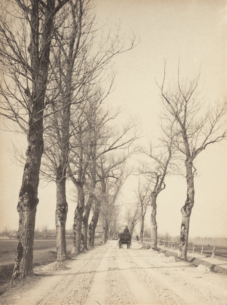 Novemberdage af Alfred Stieglitz