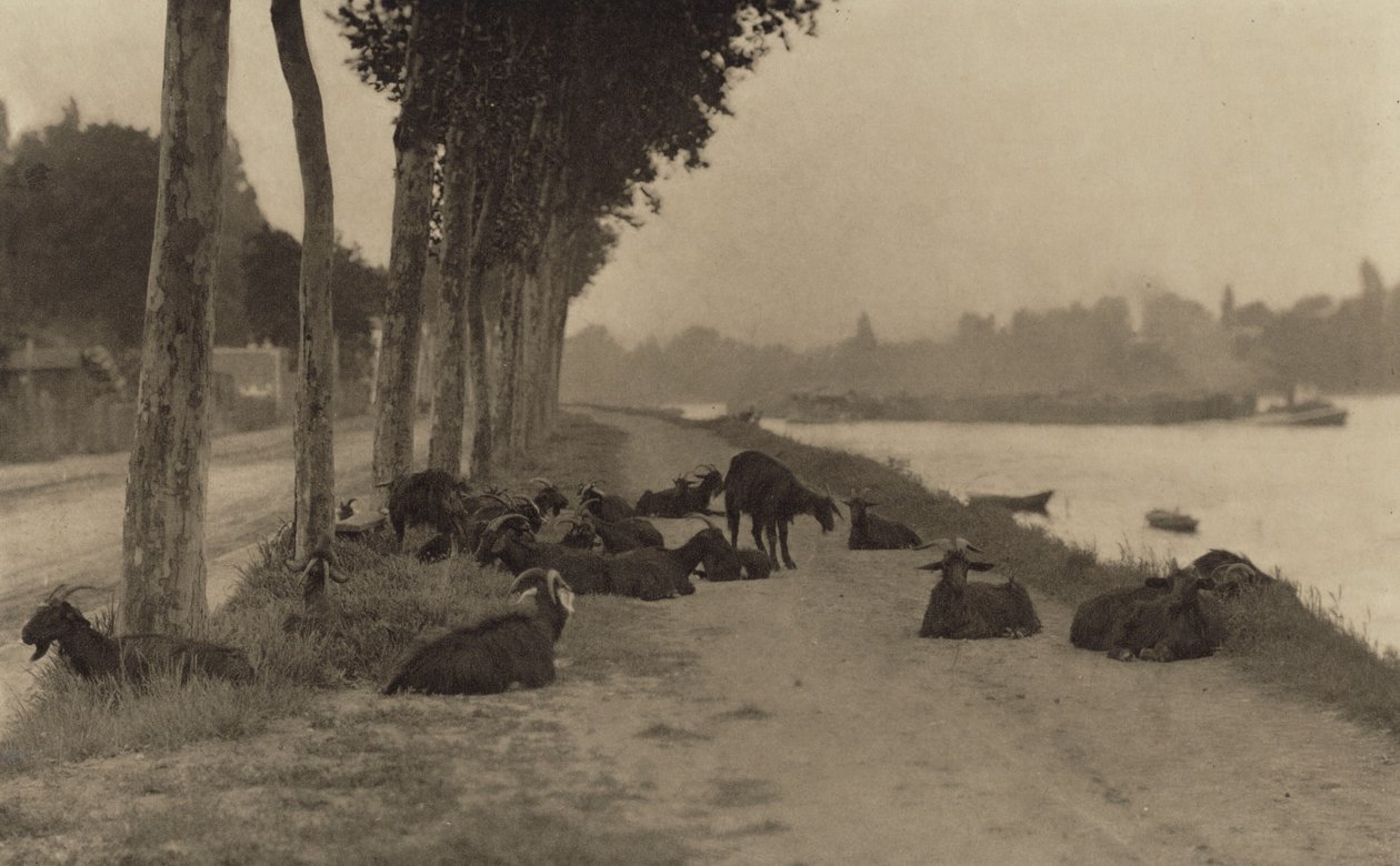 Ved Seinen – i nærheden af Paris af Alfred Stieglitz