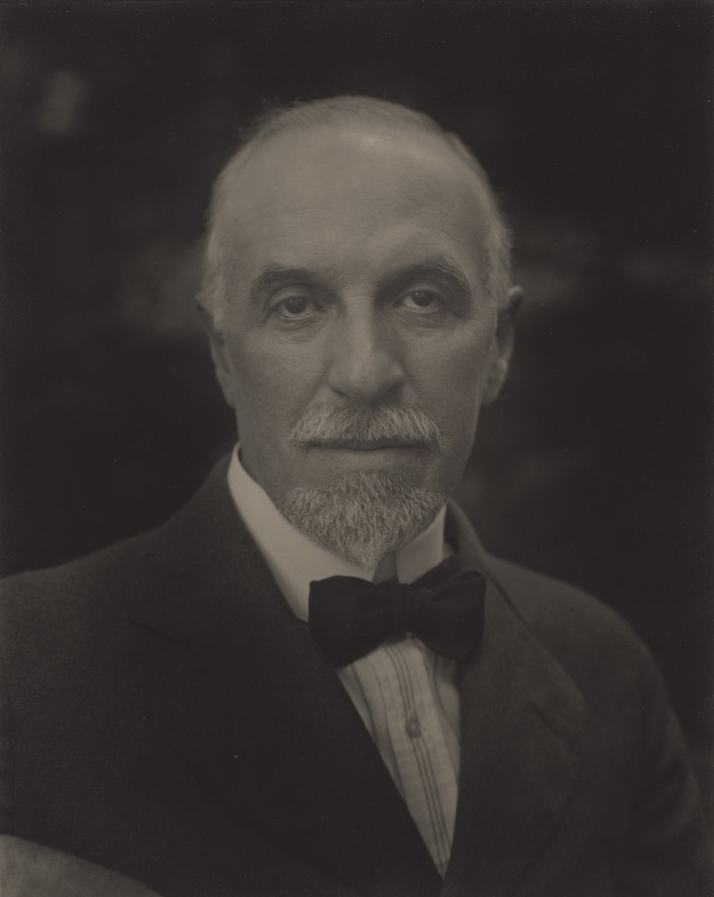 Professor Julius Stieglitz af Alfred Stieglitz