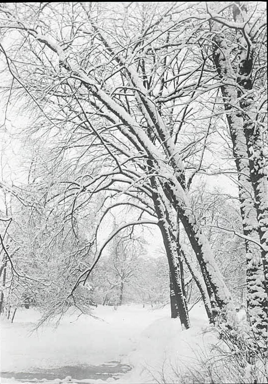 Snowscape, Berlin, 188892. af Alfred Stieglitz