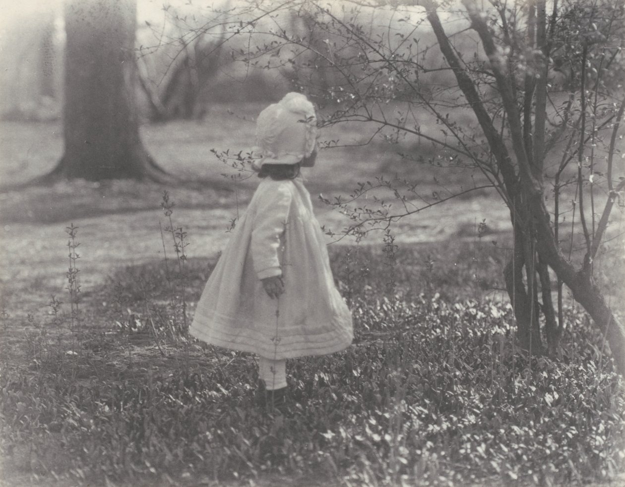 Forår af Alfred Stieglitz