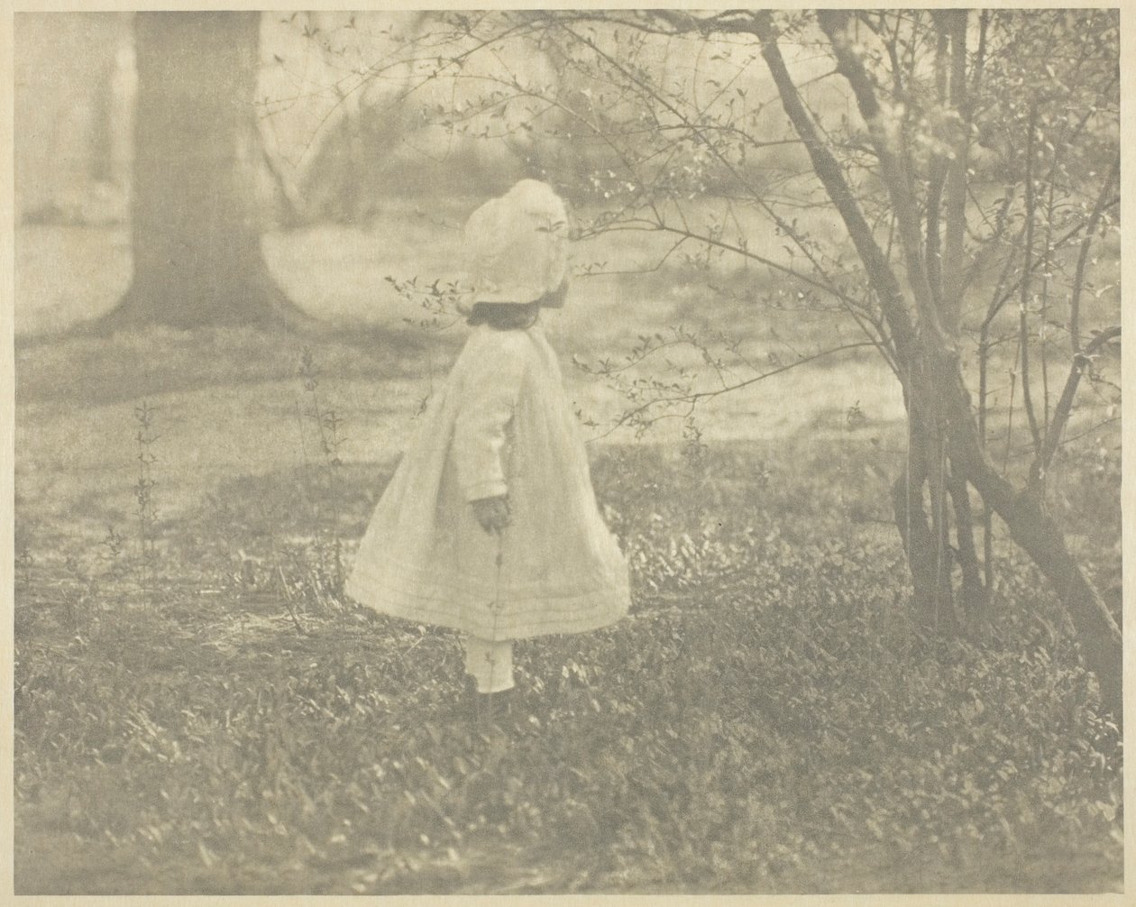 Forår - Barnet af Alfred Stieglitz
