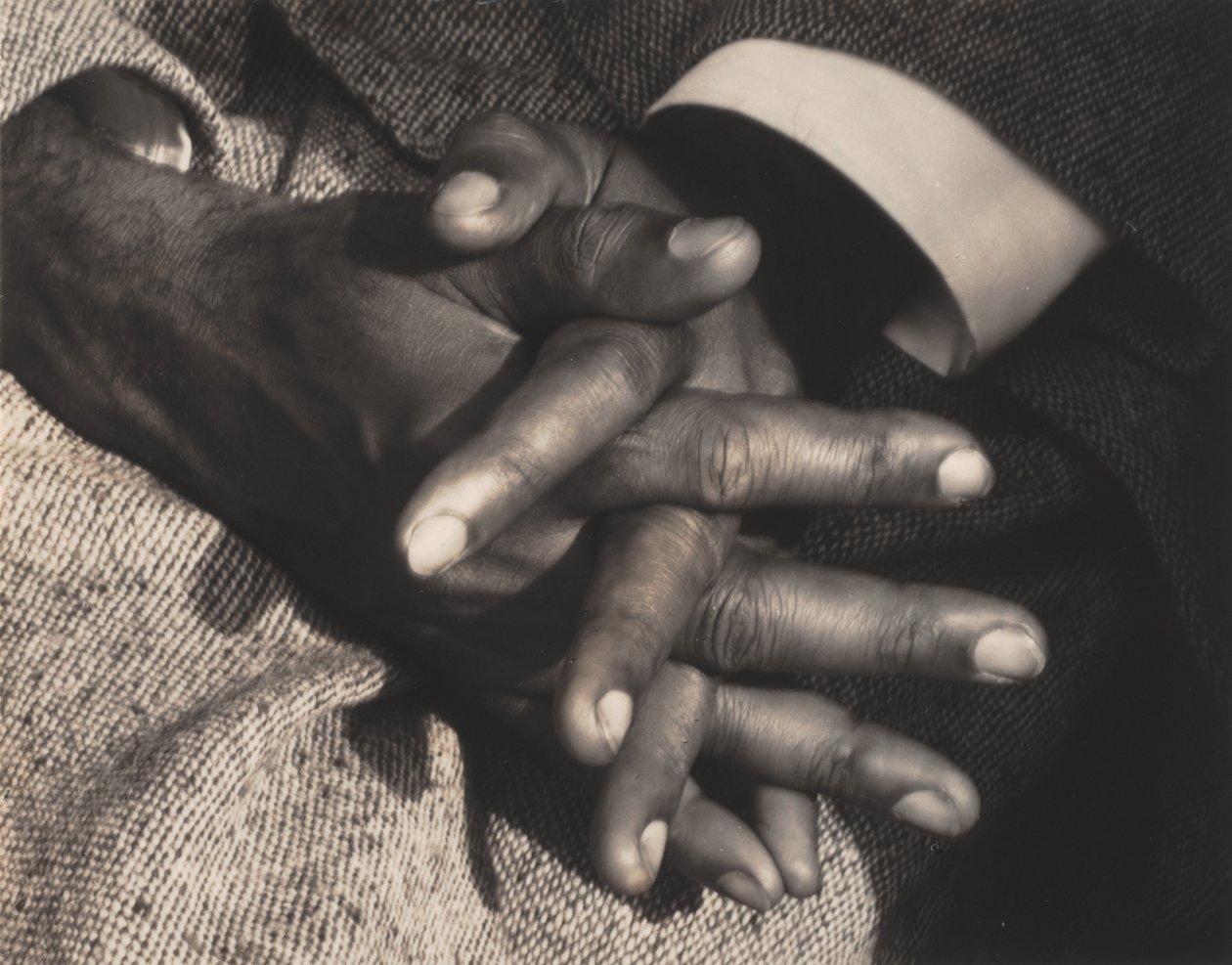 Herren over fuldkommenheden af Alfred Stieglitz