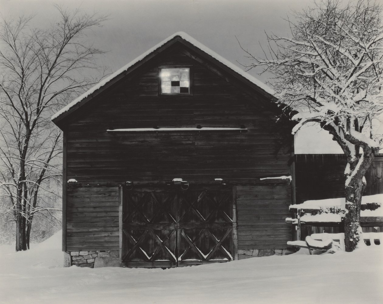 Den sorte lade og den hvide sne af Alfred Stieglitz